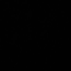 Meet your Posher, Shane